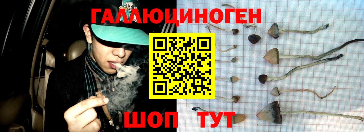 Галлюциногенные грибы MAGIC MUSHROOMS Дедовск