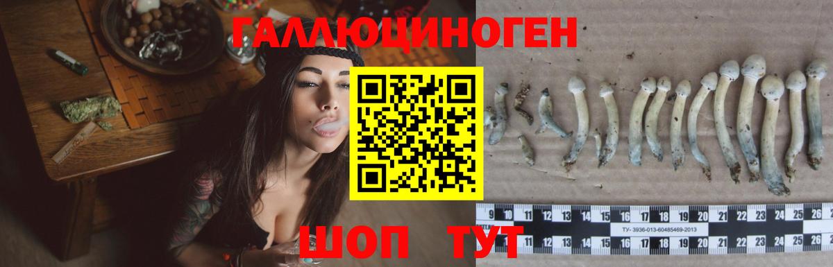 Дедовск  Псилоцибиновые грибы мицелий  Вход с VPN 