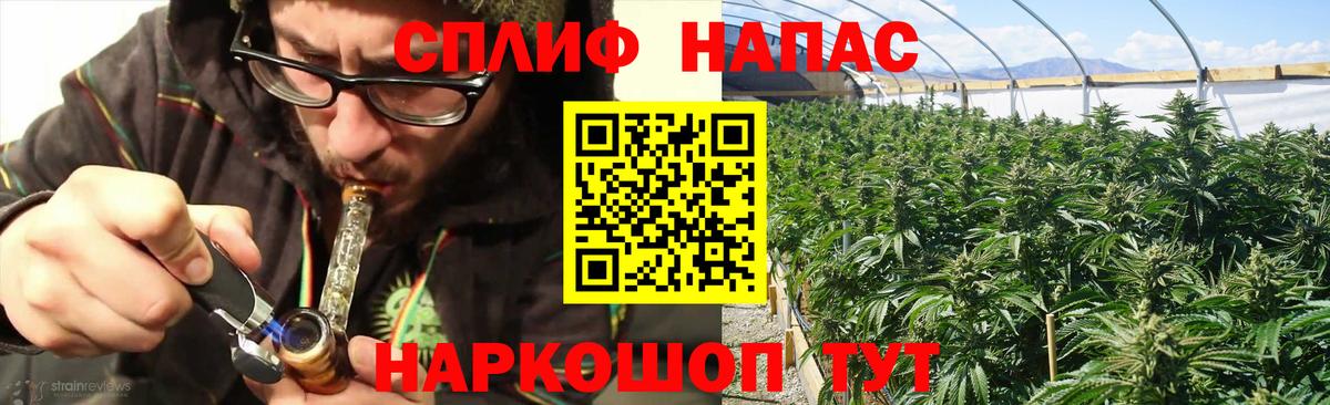 Каннабис конопля Дедовск